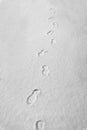 Human footprints on the snow, winter path Royalty Free Stock Photo