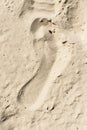 Human footstep in a beach sand Royalty Free Stock Photo