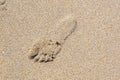 Human footstep in the sand Royalty Free Stock Photo