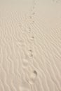 Human footsteps in the sand dunes Royalty Free Stock Photo