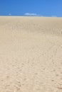 Human footsteps in the sand dunes Royalty Free Stock Photo