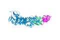 Human gamma herpesvirus 8 in complex with EphA2. Ribbons diagram. 3d illustration