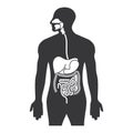 Human gastrointestinal tract or digestive system flat icon for apps and websites Royalty Free Stock Photo
