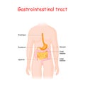 Human Gastrointestinal tract