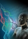 Hombre genoma 