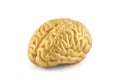 Human golden brain model on white background