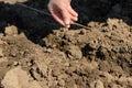 Human grain hand sows the soil Royalty Free Stock Photo