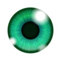 Human Green Eye Royalty Free Stock Photo