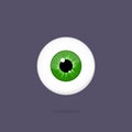Human green eye isolated on dark background. Eyeball iris pupil