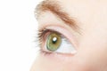 Human, green healthy eye macro Royalty Free Stock Photo