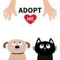 Human hand. Adopt me. Dont buy. Dog Cat Pet adoption. Royalty Free Stock Photo