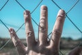 Human hand on a chain-link mesh or fencing mesh against a blue sky background. Gloomy toning. The concept of the desire for