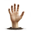 A human hand is emerging from a mound of soil against a white background. The Royalty Free Stock Photo