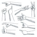 Human hand gesture. Vector sketch hand drawn illustration. Male or female hands collection, isolated on white background