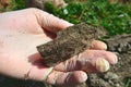 Human hand in gloves holding grey mineral sparky stone close up as illustration for geological finding