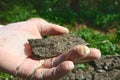 Human hand in gloves holding grey mineral sparky stone close up as illustration for geological finding