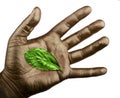 Human hand with green leaf isolated on white background Royalty Free Stock Photo