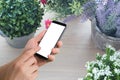 human hand hold and touch blank screen cell phone on variety beautiful flower pot.