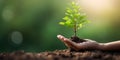 Human Hand Hold Tree Seedling In Fertile Soil. Environmental Protection. Nature Care And Sustainability. Generative AI Royalty Free Stock Photo