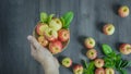 Human hand holding apple Royalty Free Stock Photo