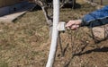 Human hand holding brush and whitewashing a young tree in early spring. gardening concept