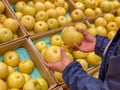 Human hand holding and choosing fresh pear at fruit store Royalty Free Stock Photo