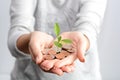 Human hand holding coins and a growing plant