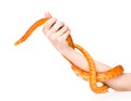 Human hand holding Creamsicle Corn Snake (Elaphe guttata guttata). isolated