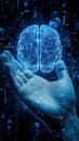 A Human Hand Holding a Digital Representation of a Human Brain with Circuitry Royalty Free Stock Photo