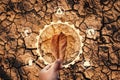 Human hand holding dry leaf Royalty Free Stock Photo