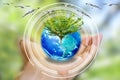 Human Hand holding Earth ball with tree growing and the bird flew out on green bokeh background. Royalty Free Stock Photo