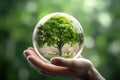 Human hand holding glass sphere with green tree inside. Environment conservation concept. Generative AI Royalty Free Stock Photo