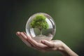 Human hand holding glass sphere with green tree inside. Environment conservation concept. Generative AI Royalty Free Stock Photo