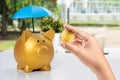 A human hand holding a golden coin with a blue umbrella above piggy bank on white table Royalty Free Stock Photo