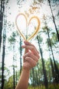 Human hand holding heart-shape grass flower. Love concept for Valentine` Day Royalty Free Stock Photo
