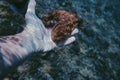 Human hand holding an octopus underwater Royalty Free Stock Photo
