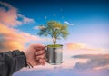 Human hand holding perfect growing tree Royalty Free Stock Photo