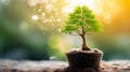 Hands holding young plant in sunshine and green background at sunset. Environment conservation, reforestation, climate change