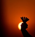 Human Hand Holding Some Objects Sunset Background Photograph Royalty Free Stock Photo