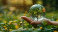 Human Hand Holding a Transparent Globe with a Tree and Butterfly Inside in a Sunny Field Royalty Free Stock Photo