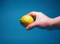 Human hand holding yellow lemon  on a blue background. Royalty Free Stock Photo