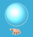 Human hand holds a blue ball. Royalty Free Stock Photo