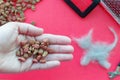 A human hand holds cat food on a background of grooming tools and a piece of cat hair in the shape of a cat on a pink background. Royalty Free Stock Photo