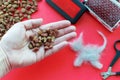 A human hand holds cat food on a background of grooming tools and a piece of cat hair in the shape of a cat on a pink background. Royalty Free Stock Photo