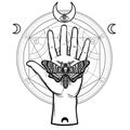 Human hand holds a moth Dead Head. Symbols of the moon, alchemical circle of transformations. Royalty Free Stock Photo