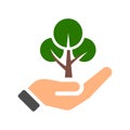 Human hand holds a small green tree.