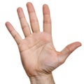 Hand isolated on white background Royalty Free Stock Photo