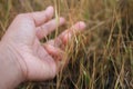 Human hand and nature concept. A hand touched the barren grass.