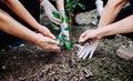 Human hand planted trees to protect the environment and ecological