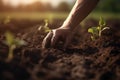 Human hand planting seedlings in fertile soil at sunset, agriculture concept, Closeup of a farmers hands planting tree, AI Royalty Free Stock Photo